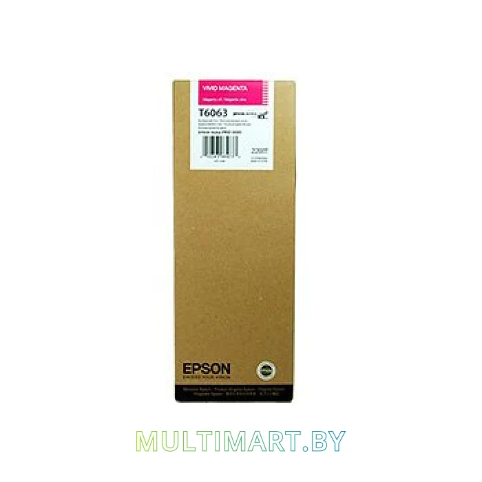 Картридж Epson C13T606B00